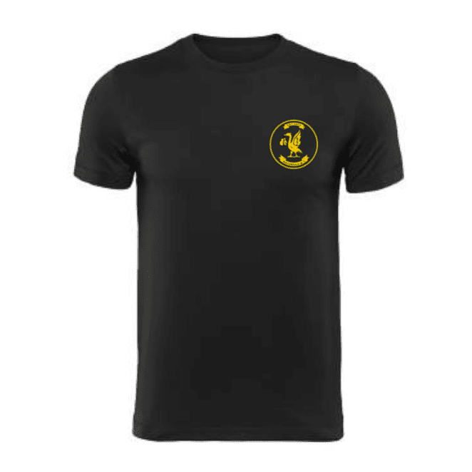 rotunda-t-shirt rotunda-t-shirt